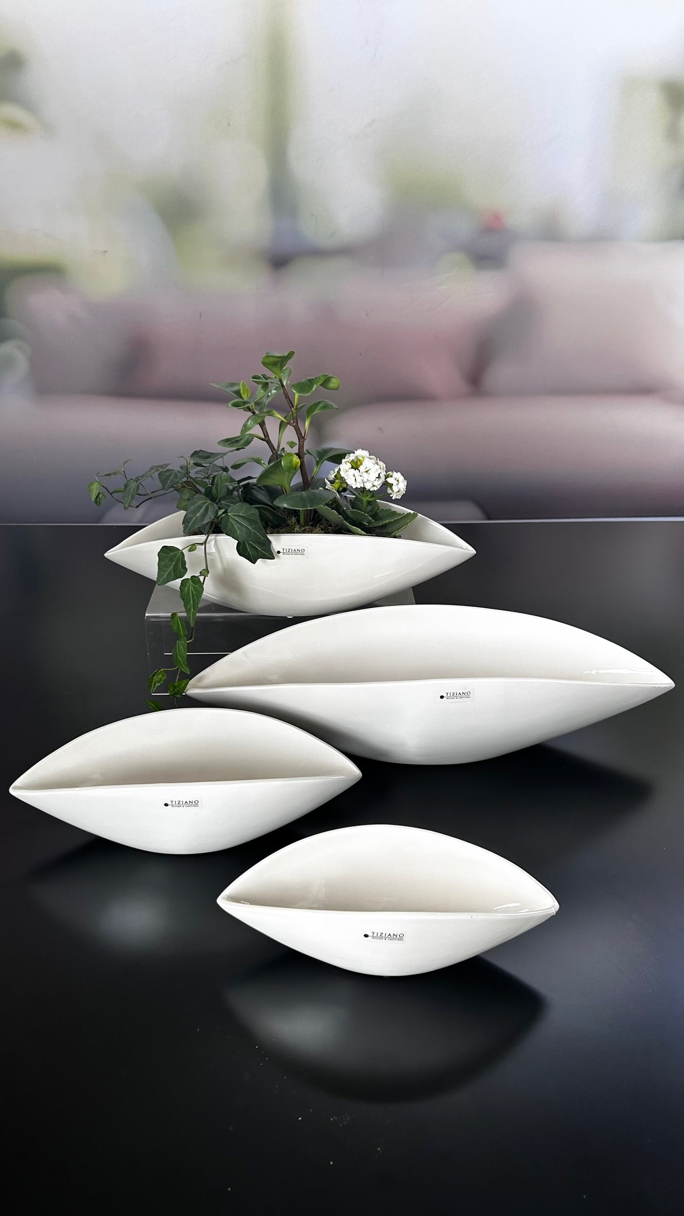 Schale Pisello creme