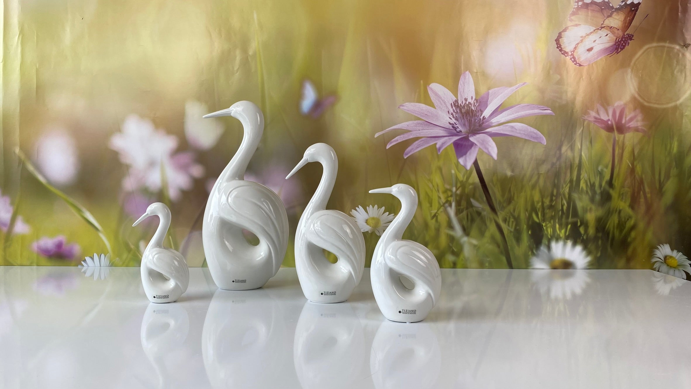 Vogel Splendido creme-weiß