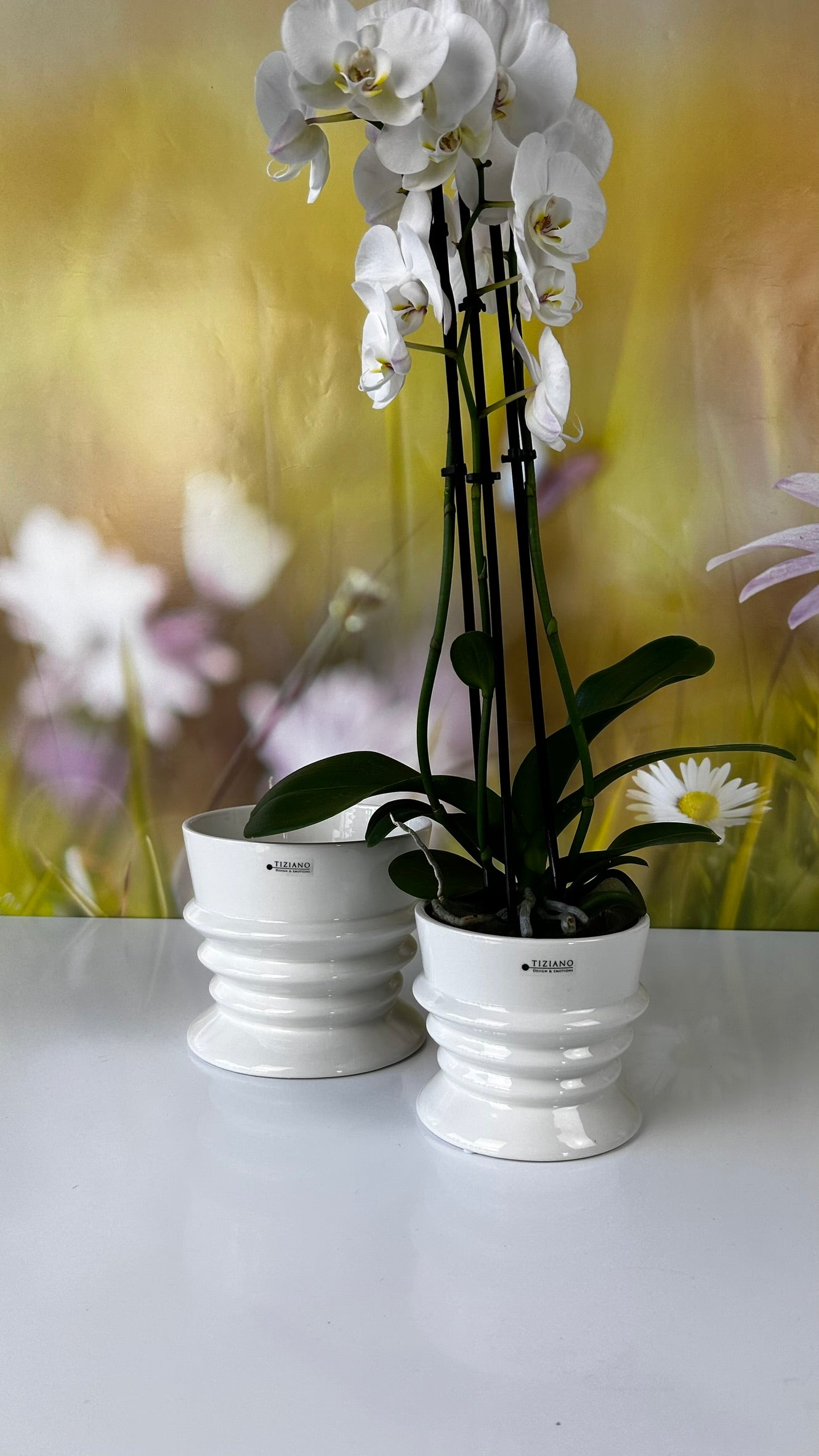 Kübel Silandro creme-weiß