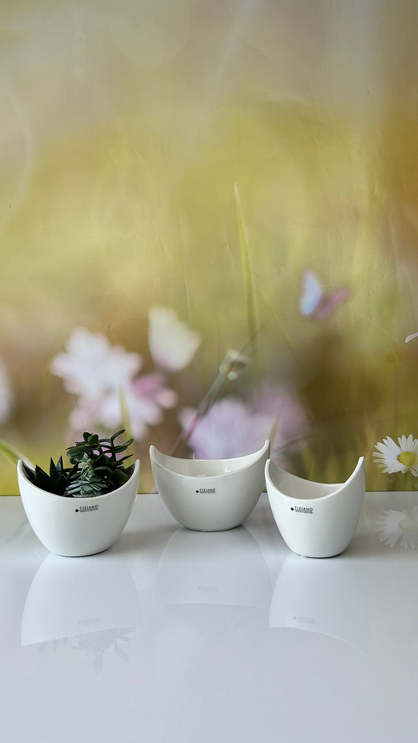 Schale Arco creme-weiß