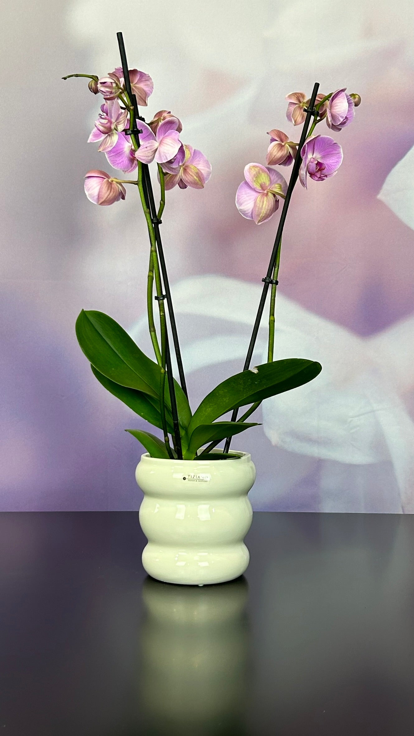 Kübel Ronda creme-weiß