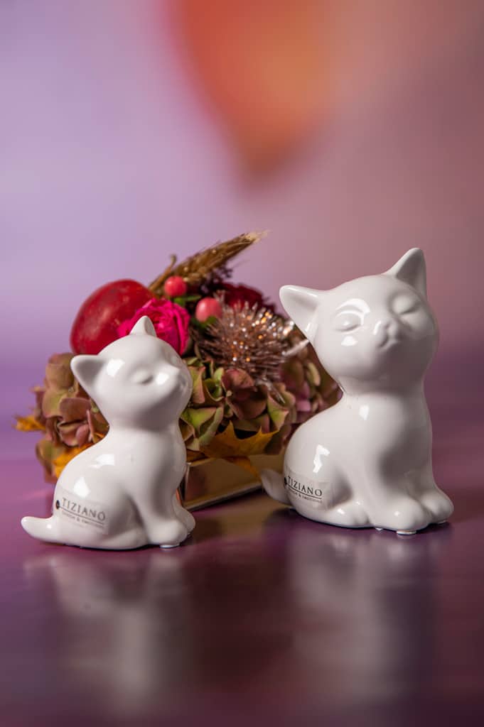 Katze-Sadira-sitzend-2-Groessen