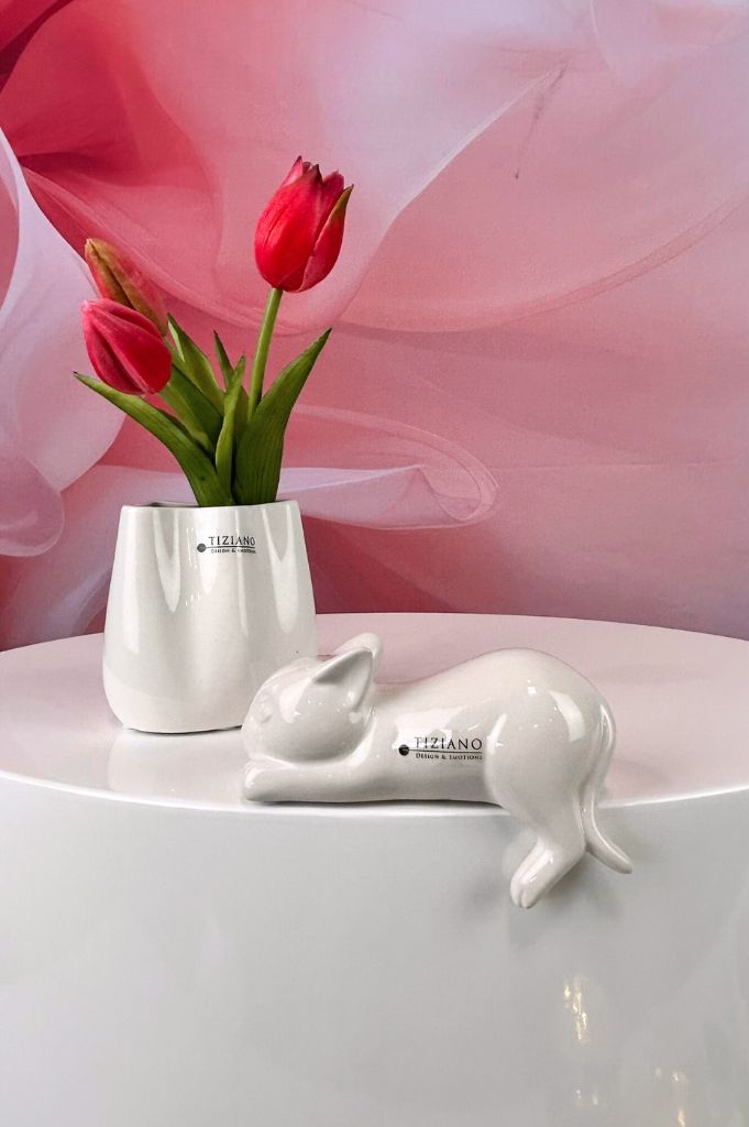 Kantensitzer Katze Sadira Kopf gerade creme-weiß