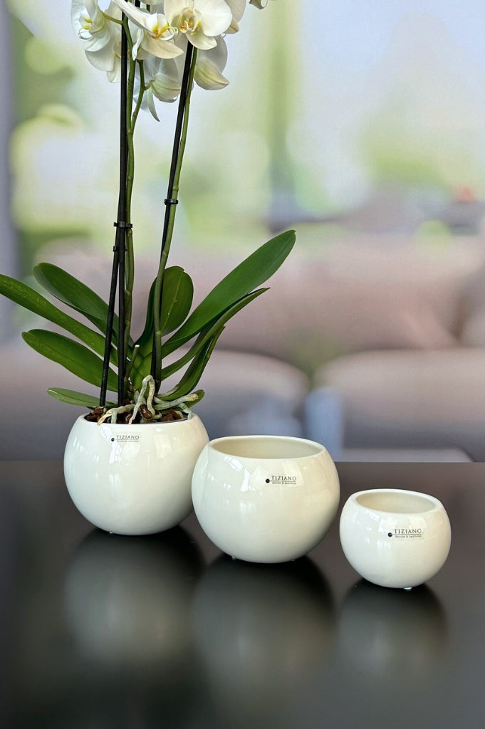 Kübel Morenga creme weiß (1)