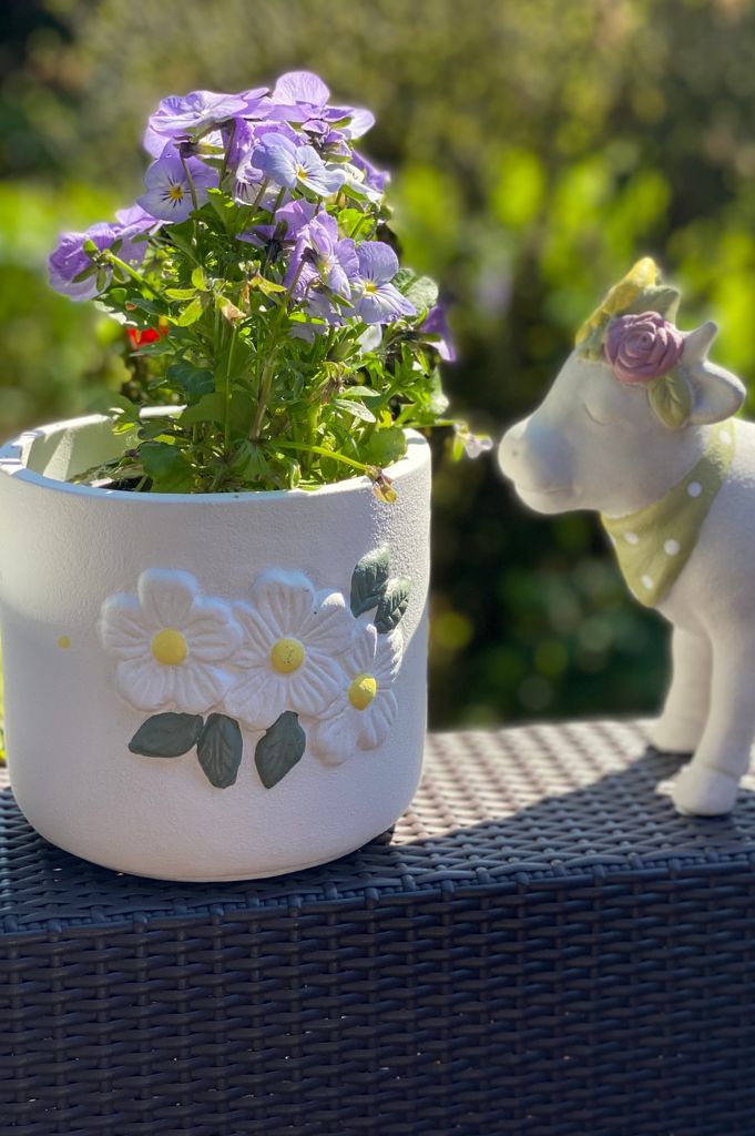 Kübel Spello rustik mit weißen Blumen