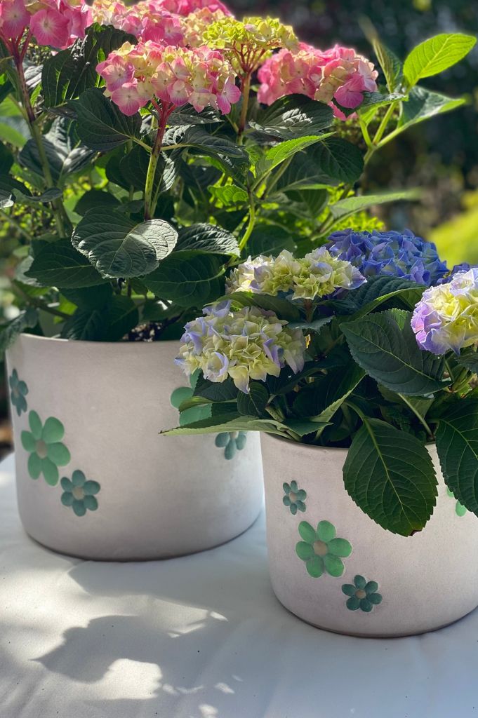 Kübel Villa rustik mit grünen Blumen große Größen
