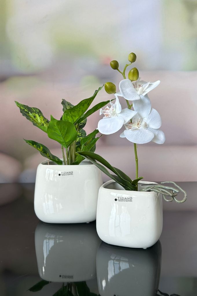 Kübel Brezone creme
