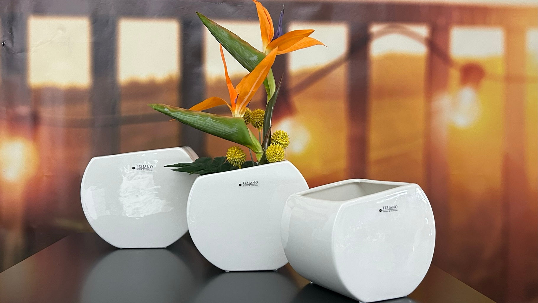 Kübel_Coserta_gesamt