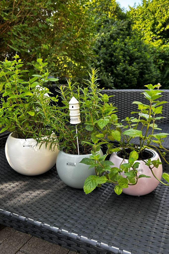 Orchideenkübel Morenga 16cm Laguna-grün matt