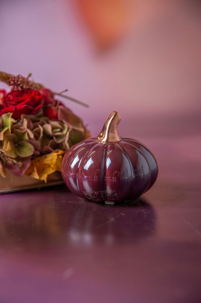 Kürbis Boglia red plum