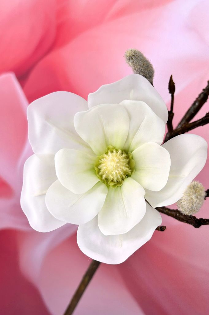 Magnolienzweig 88cm weiß