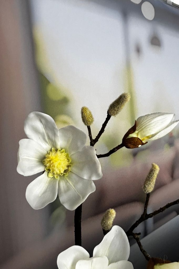 Magnolie_Detail