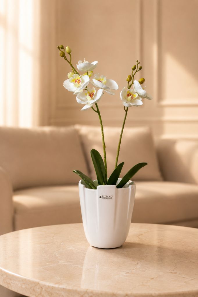 Orchideenkübel Mattina 15cm creme-weiß