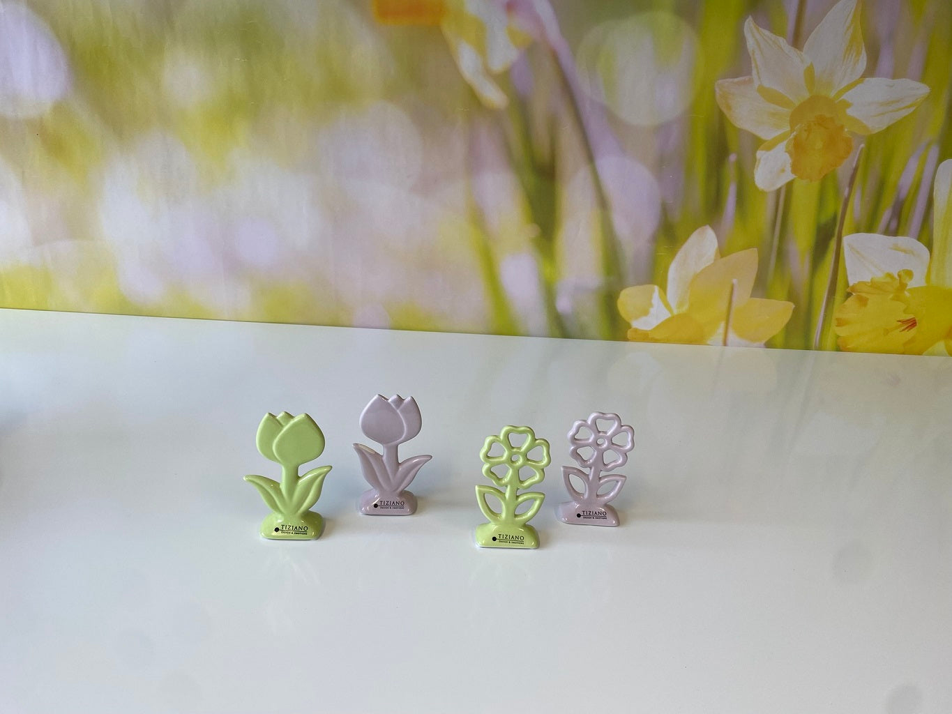 Blume Mesola 12cm lila