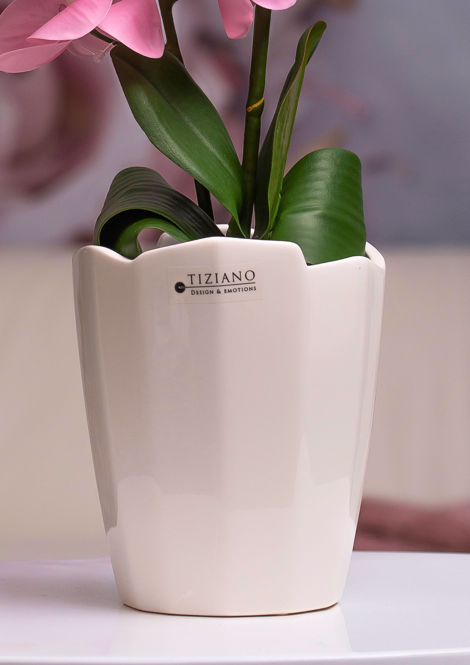 Mettina-Orchideenkuebel-detail