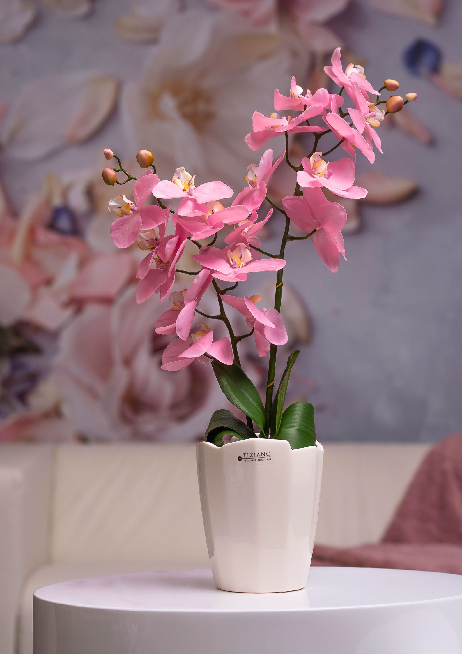 Mettina-Orchideenkuebel