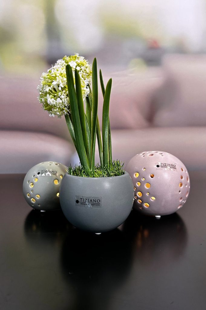 Minikübel Morenga Scuro