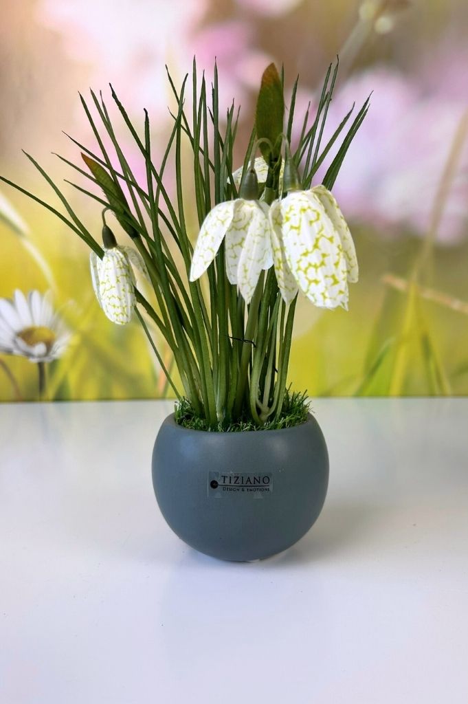 Minikübel Genua 8cm Prato