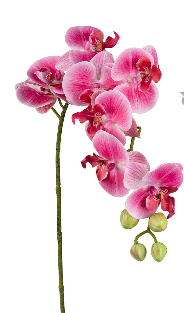 Deko Orchidee Real Touch rose