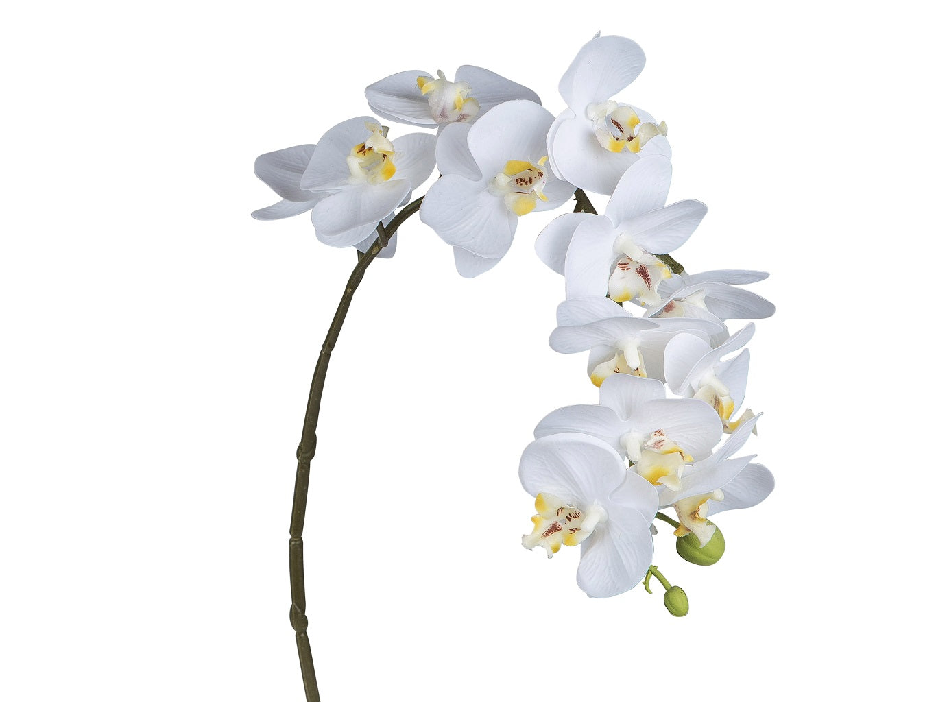Orchidee_Realtouch
