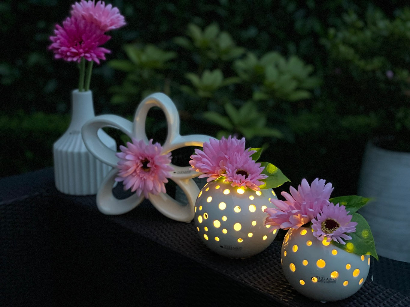 Padov_Gerbera_rosa2