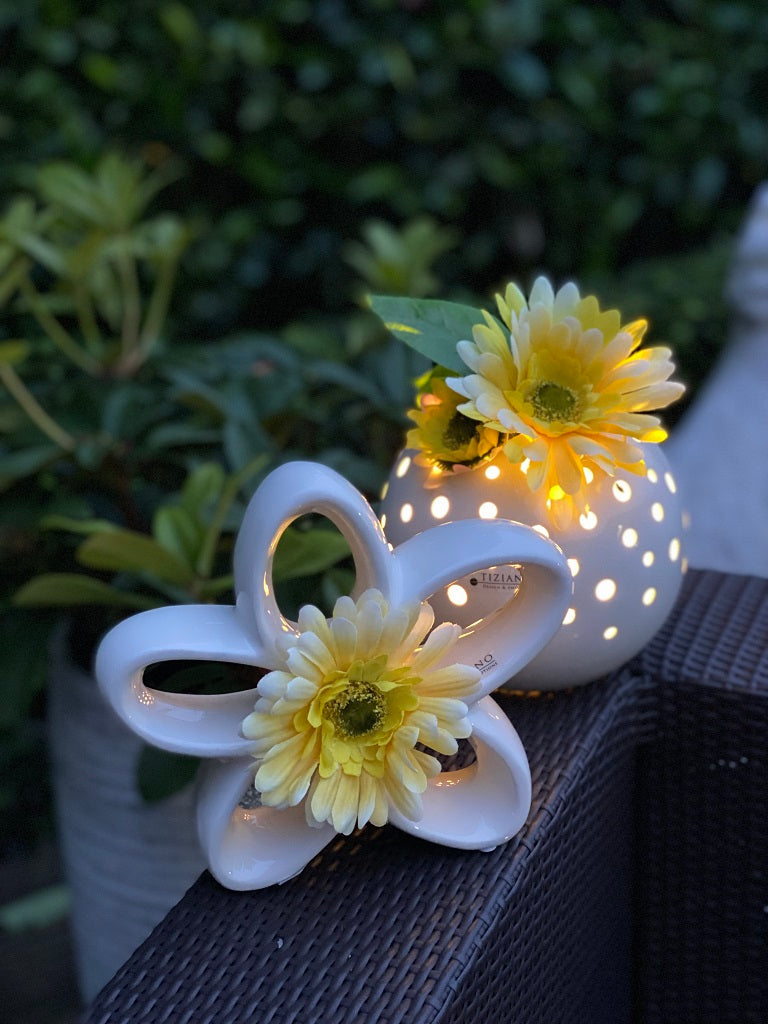 Padova_Gerbera_gelb
