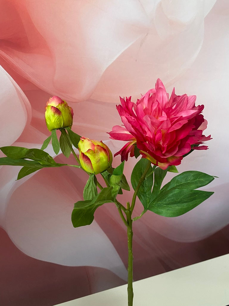 Deko Pfingstrose 65cm farbig