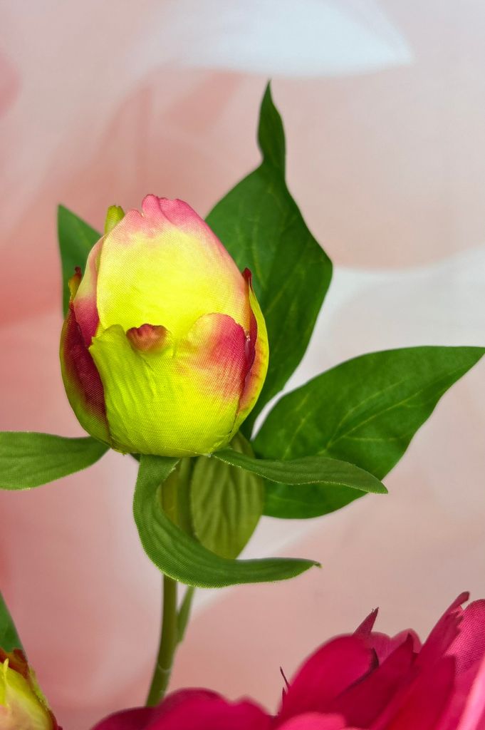 Deko Pfingstrose 65cm farbig