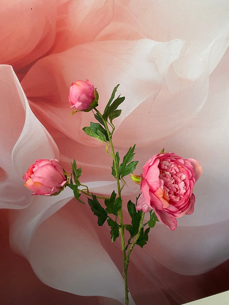 Deko Pfingstrose 80cm farbig