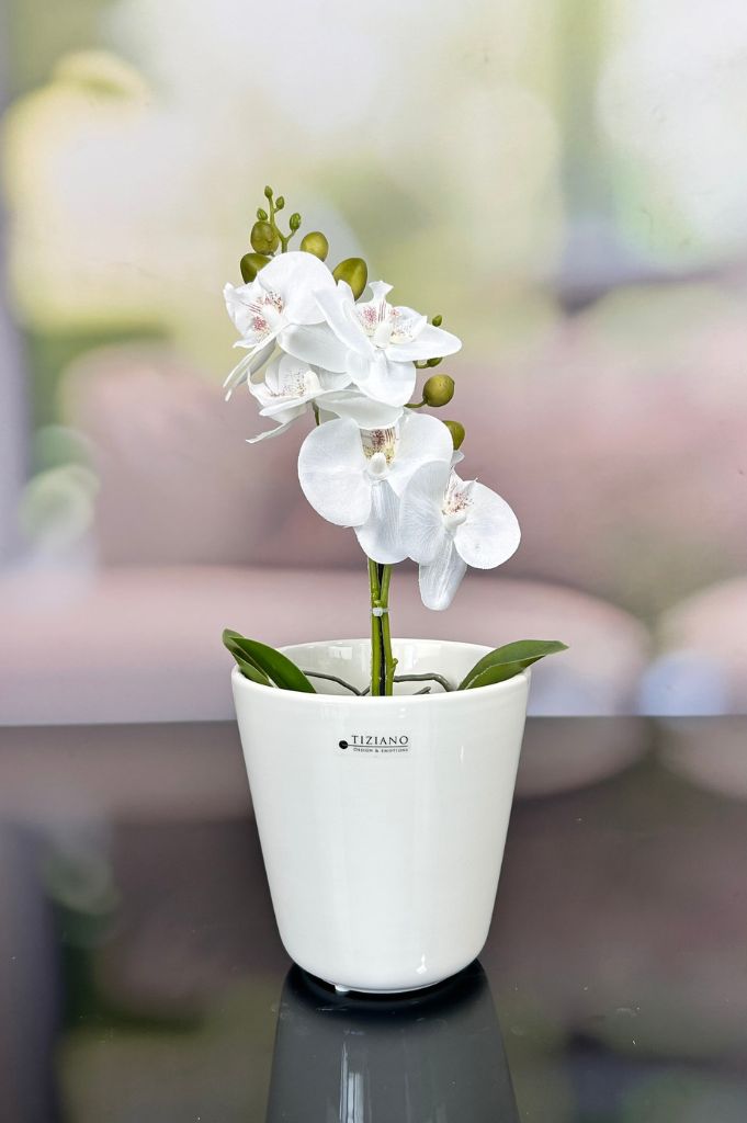 Kübel Piana creme-weiß