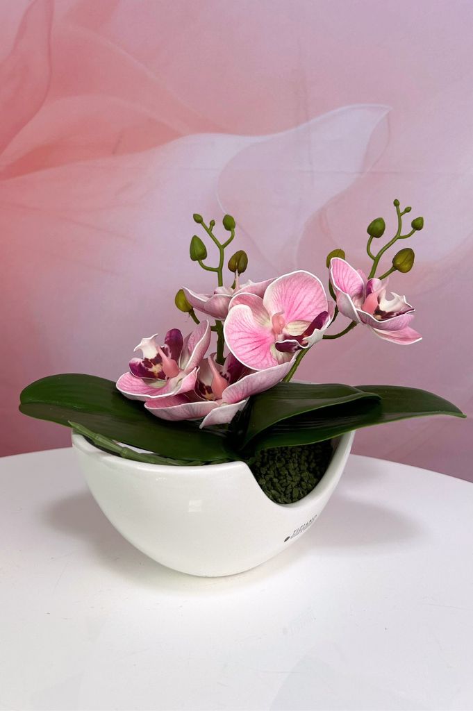 Dekoset Piceno mit Orchidee pink
