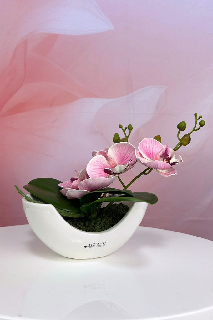 Dekoset Piceno mit Orchidee pink