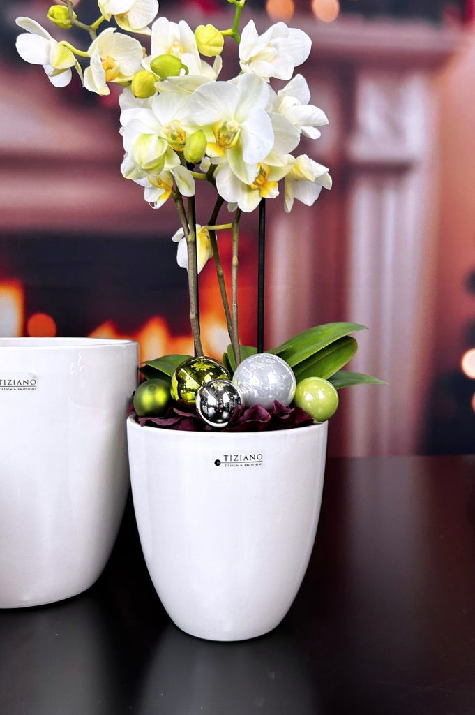 Kübel Primagera creme-weiß