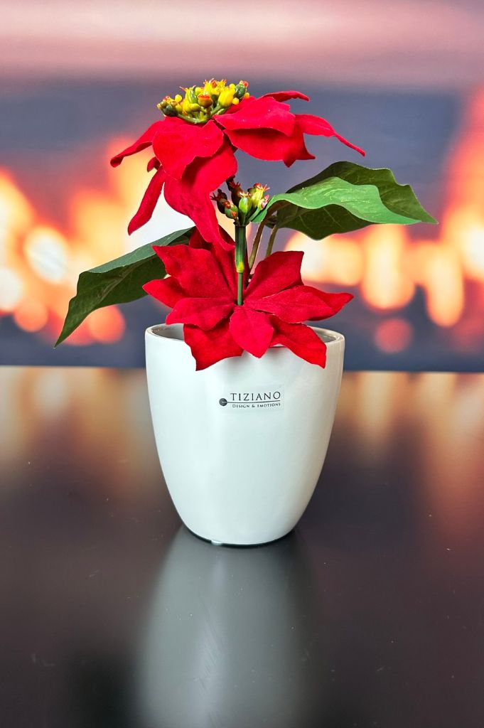 Kübel Primagera creme-weiß