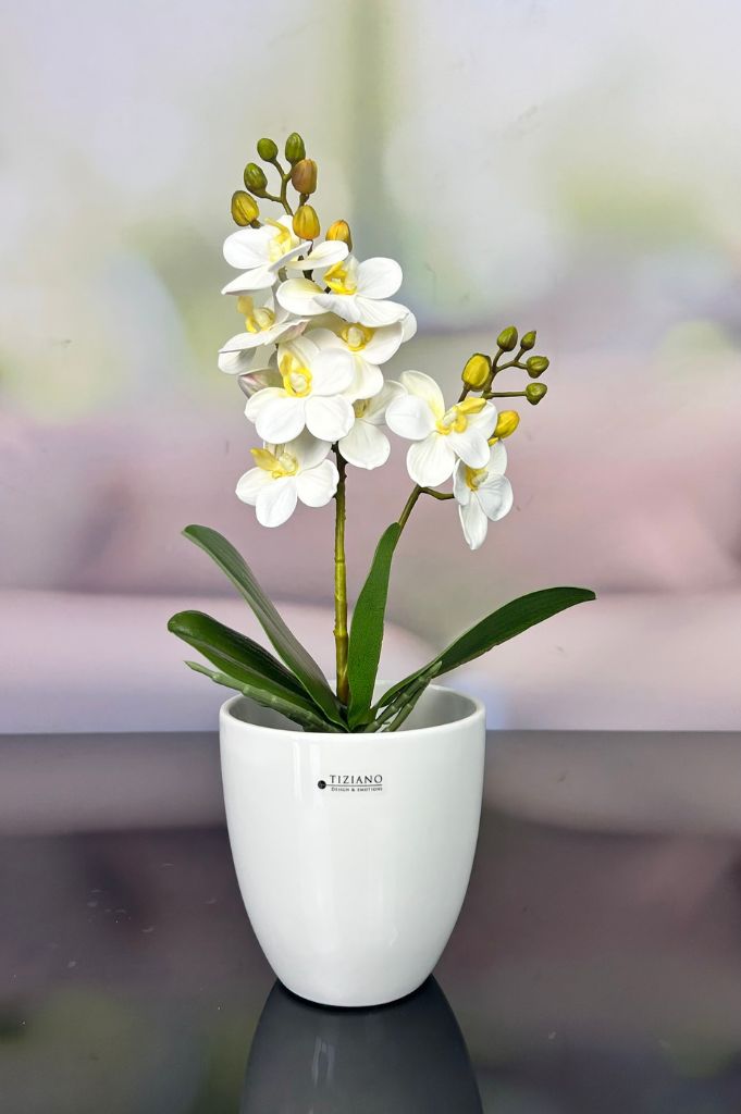 Kübel Primagera creme-weiß