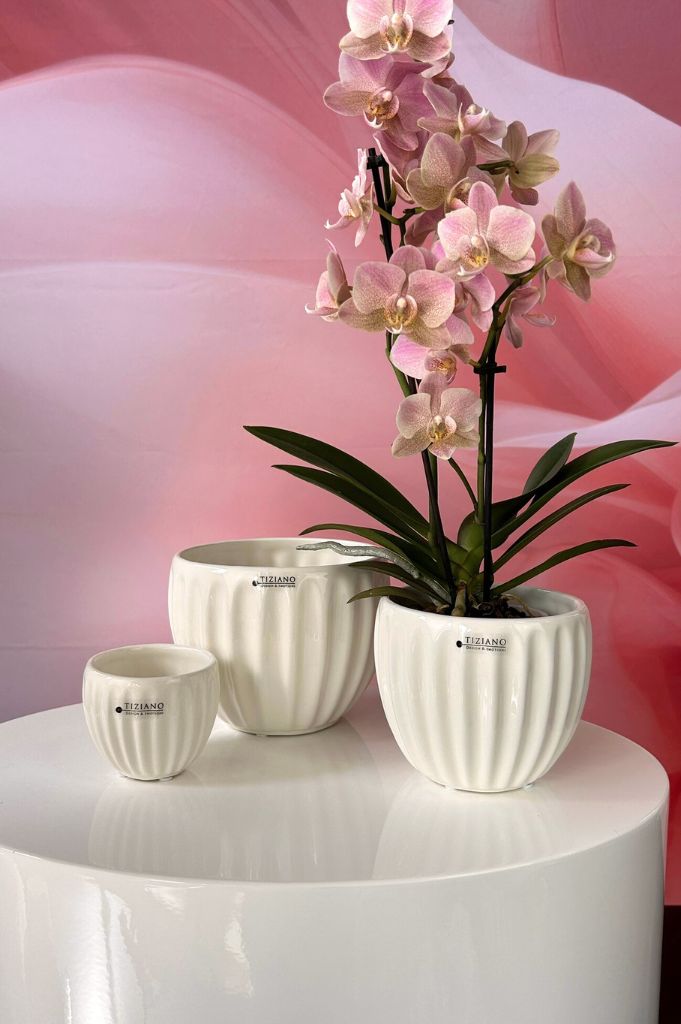 Kübel Prisma creme-weiß