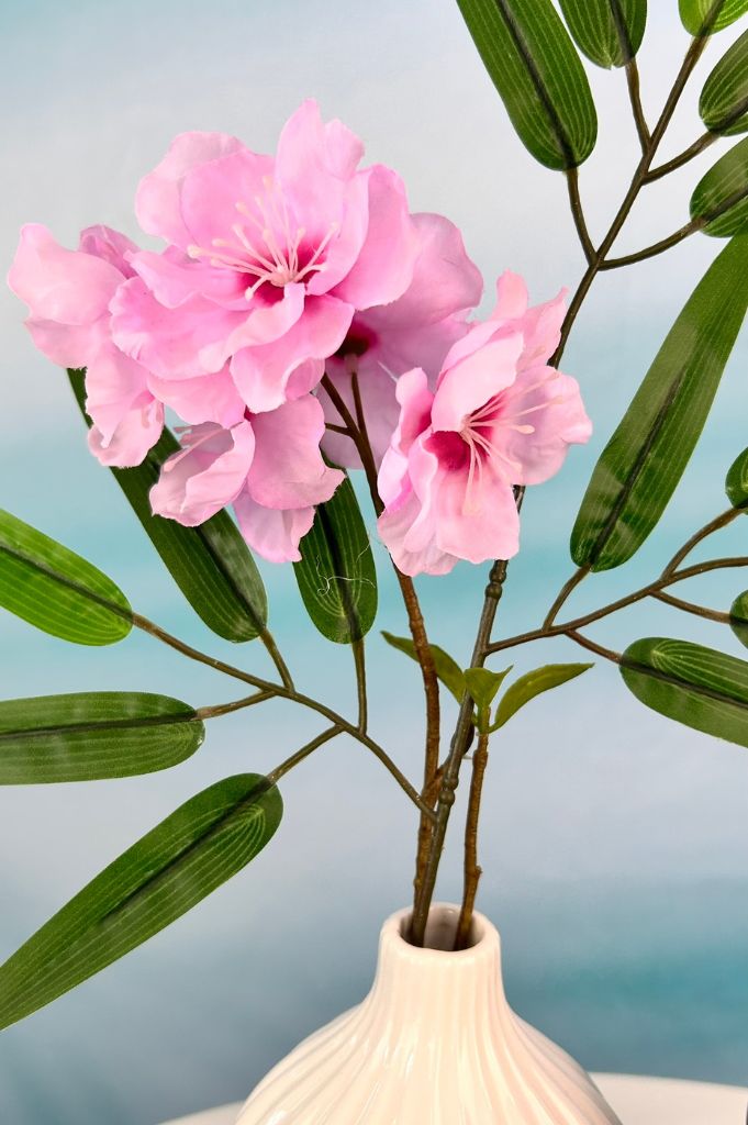 Dekoset Magnetteller mit Sumana und Vase Prisma creme