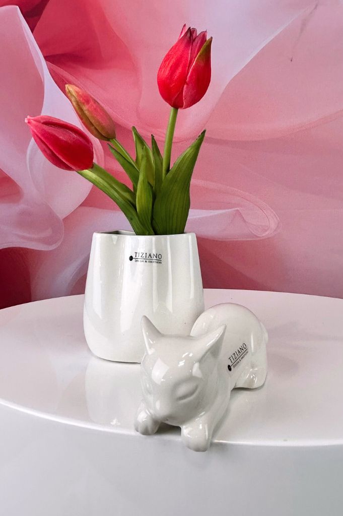 Kantensitzer Katze Sadira Kopf runter creme-weiß