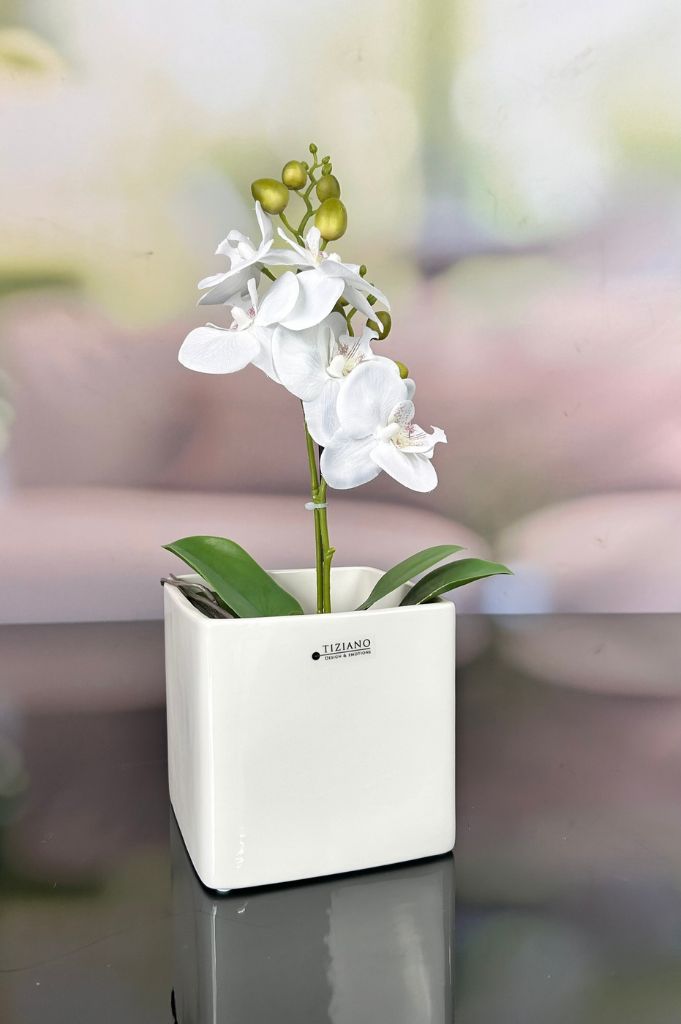 Orchideenkübel Saltino 14cm creme-weiß