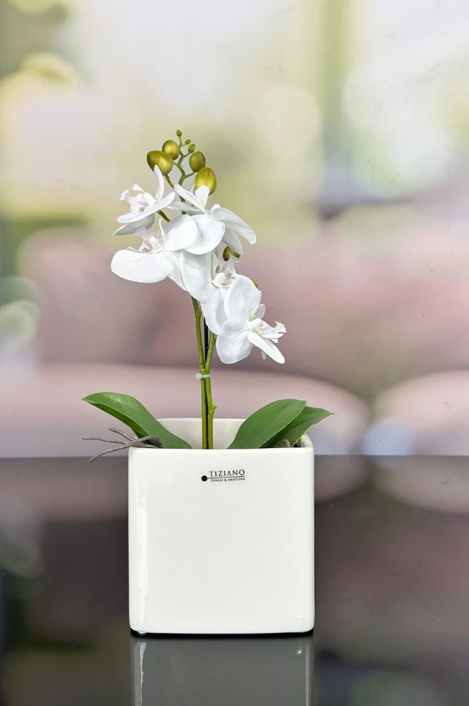 Orchideenkübel Saltino 14cm creme-weiß