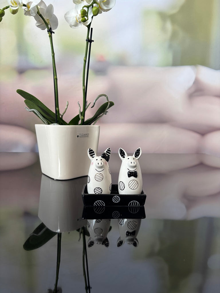 Deko Salz+Pfefferset Schweinchenpaar schwarz-weiß