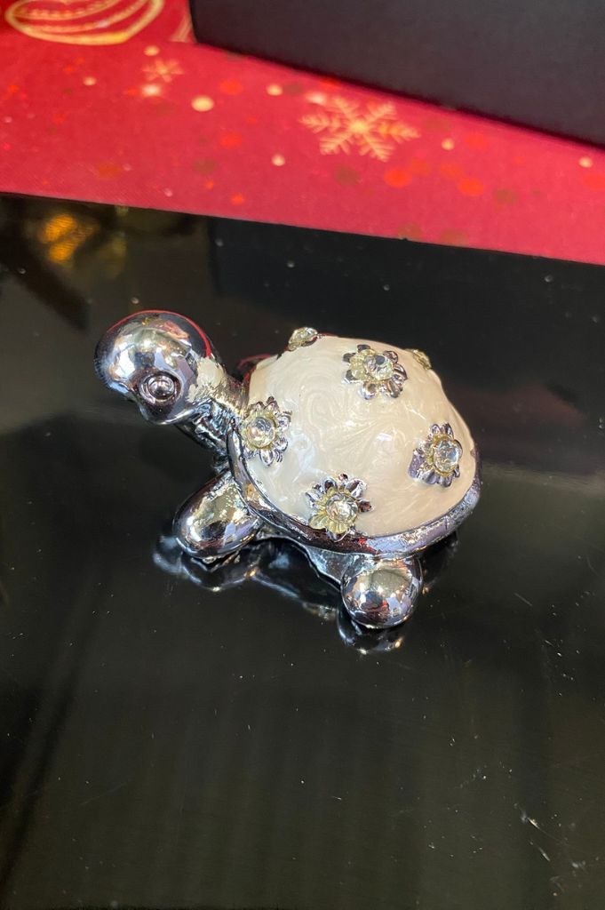 3er Set Schildköte sortiert in Geschenkbeutel