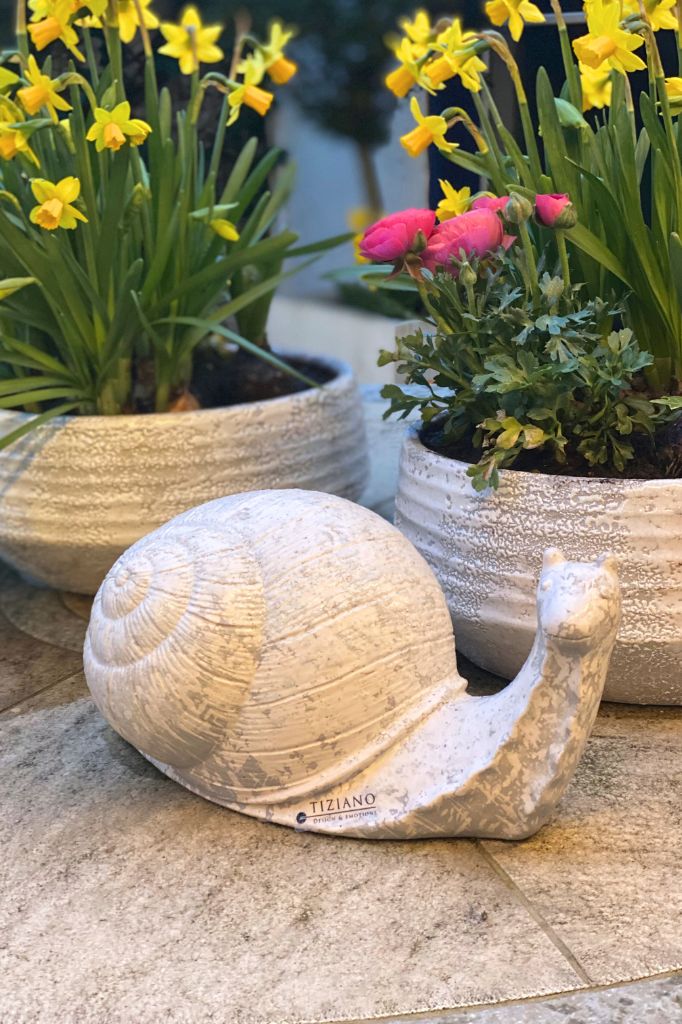 Schnecke Ira Outdoor