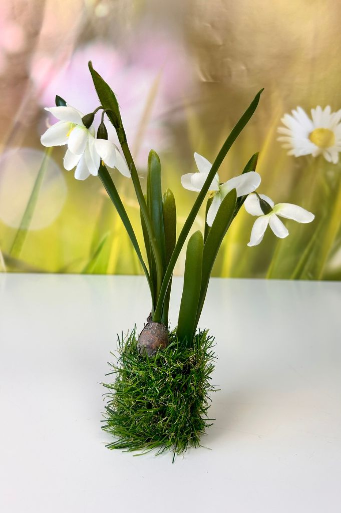 Schneeglöckchen weiß