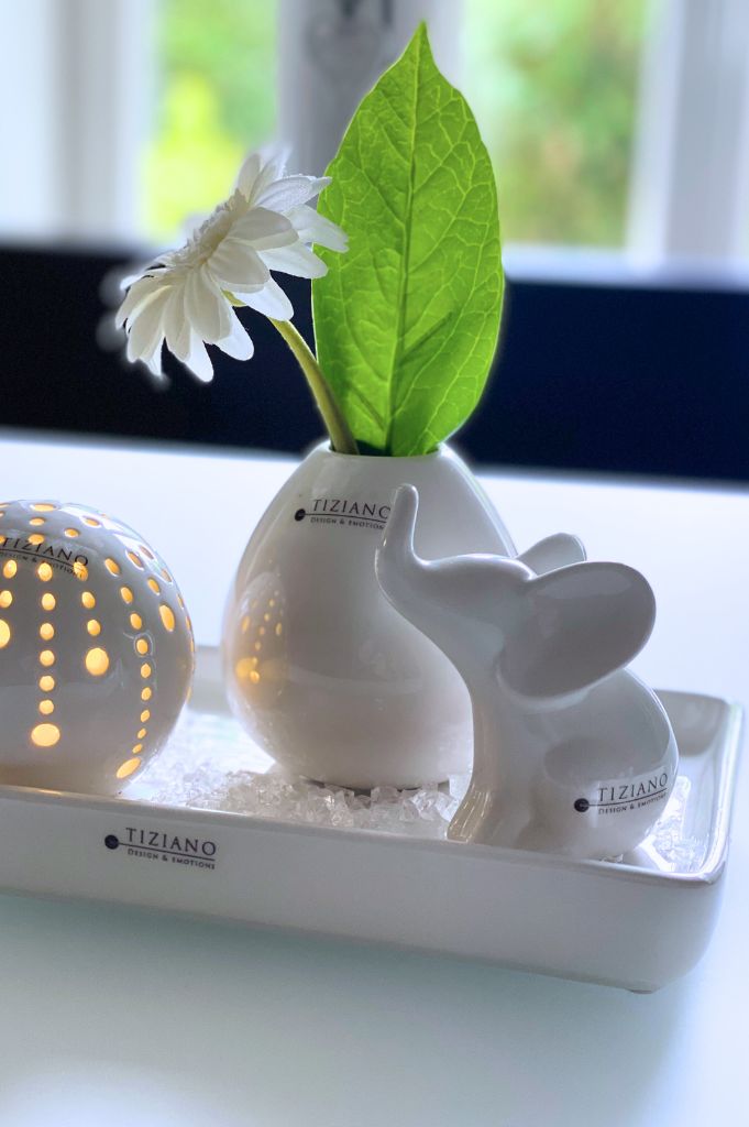 Sendina_Vitara_Leon_Calante