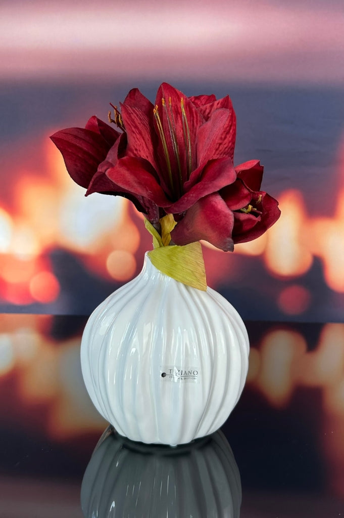 Vase Siena bauchig creme-weiß