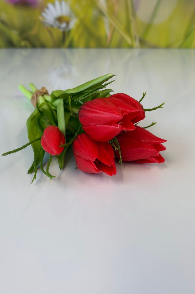 Deko 5er Tulpenbund 25cm rot