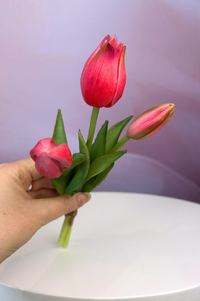 Deko Tulpen 3er Bund Sally 25cm beauty