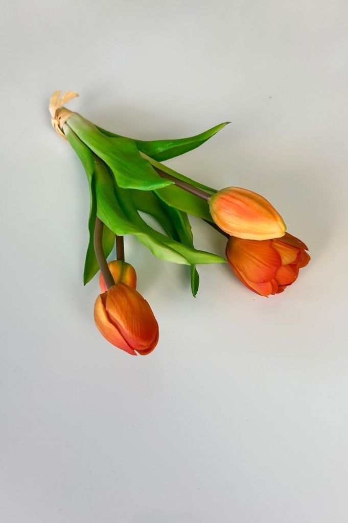 Tulpenbündel pfirsich-orange mit 4 Blüten