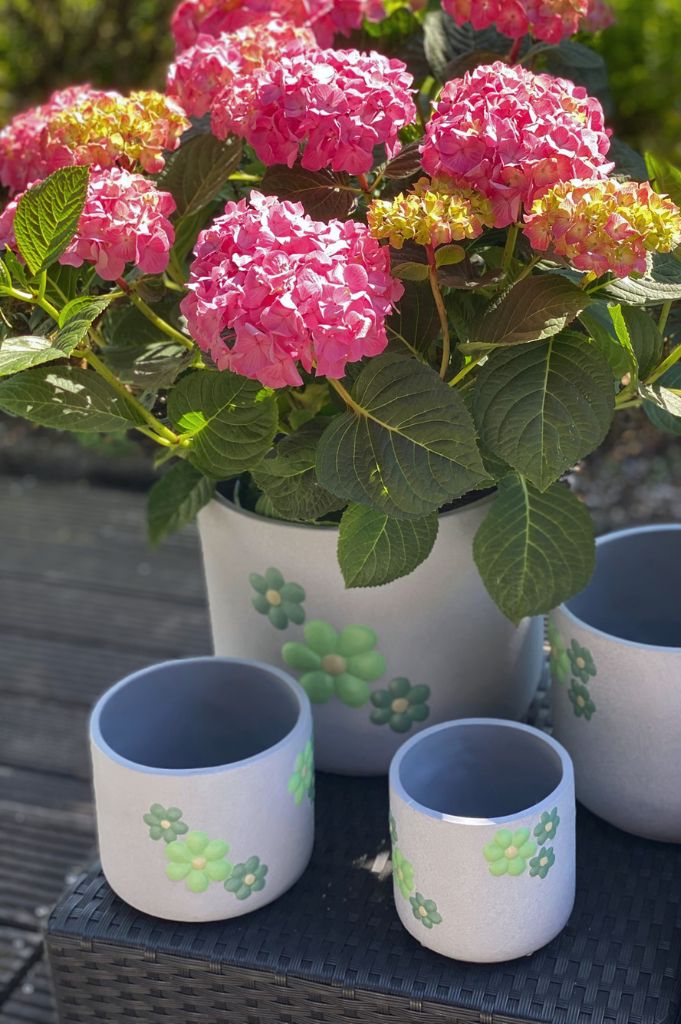Kübel Villa grau mit grünen Blumen
